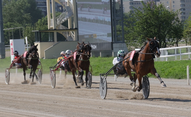 Ippica all'Ippodromo Snai San Siro al via anche le corse di trotto per la seconda parte della stagione 2025. Venerdì in pista dalle ore 16.20 con sette corse
