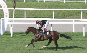 Ippica all'Ippodromo Snai San Siro il primo infrasettimanale d'autunno di galoppo è marchiato 'Di Tocco Botti' con Milos che si conferma (ma non del tutto) mentre Reina Julieta lancia il guanto di sfida