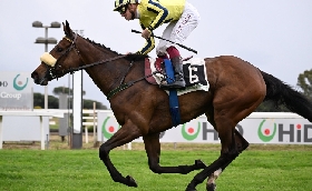 Ippica Prima domenica di corse all’Ippodromo Capannelle Torna Mr Darcy il pupillo di Max Allegri nel Premio Campidoglio