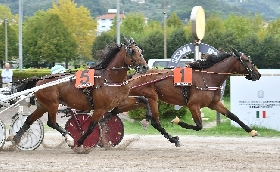 Ippica il sabato dedicato all’Avis all’Ippodromo Snai Sesana vincono India Papa Bravo e Goggia Cam nel ricordo di Alessia Franchini