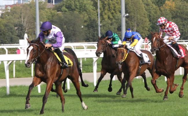 Ippica all’Ippodromo Snai San Siro la domenica nel segno di Thin Be The Glory nel premio Cesare Brivio Sforza e di Well Again nel ricordo di Ancilla Ferrario