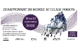 Equitazione Attacchi: due giovani driver azzurre ai Campionati del Mondo Pony di Le Pin au Haras