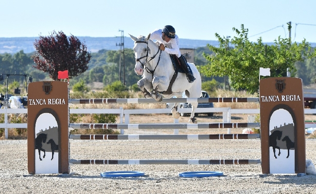 Equitazione Salto ostacoli: 250 iscritti a Tanca Regia per le semifinali del Trofeo Asvi per cavalli di 4 5 6 e 7 anni e oltre