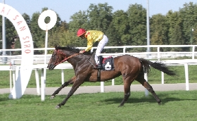 Ippica all'Ippodromo Snai San Siro bel mercoledì di galoppo con Alburno che vince il Premio Riccardo Zanocchio mentre nel Premio Io.Ribot sigillo di Combat Strategy dopo diciannove tentativi