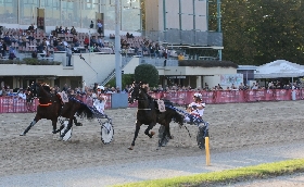 Ippica Ippodromo Arcoveggio di Bologna: domenica 21 settembre spettacolo in pista con il Gran Premio Continentale una vera festa del trotto dalle 14:30