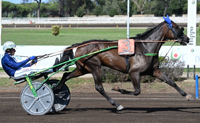 IPPICA Ippodromo Capannelle: Sabato 20 le batterie del 98° Derby Italiano del Trotto e delle Oaks