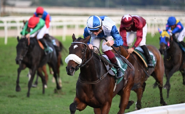 Ippica Ippodromo Capannelle: Domenica 21 al galoppo con il LIsted Race Day e la cavalla di Allegri Sun Never Sets