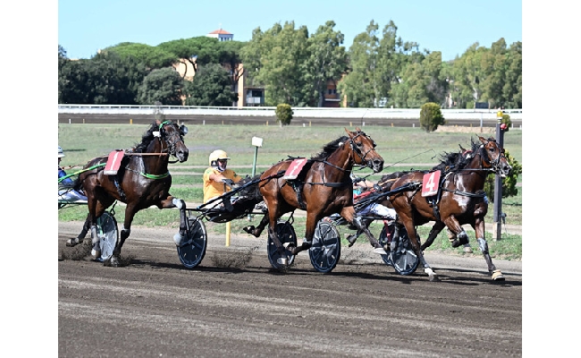 Ippica definiti i partenti del 98° Derby Italiano del Trotto e delle Oaks del Trotto: appuntamento all’Ippodromo Capannelle domenica 12 ottobre