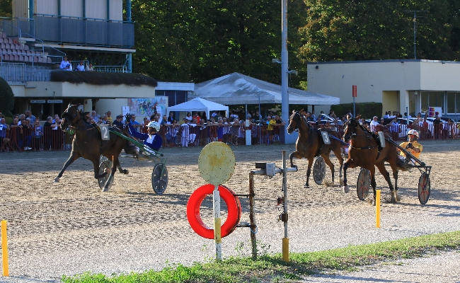 Ippica Ippodromo Arcoveggio di Bologna: Funny Gio a segno nel Continentale Follia d'Esi nel Continentale Filly eguagliano entrambe i record delle due prove in una giornata di grande trotto