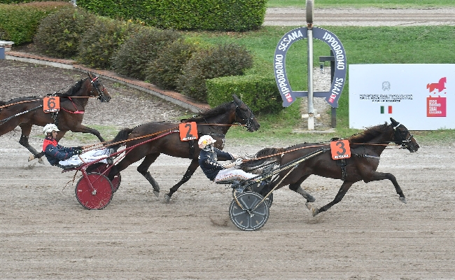 Ippica all'Ippodromo Snai Sesana il lunedì di trotto premia a sorpresa Wild Sky nella prova per i puledri supportata da Biondi e C. Snc