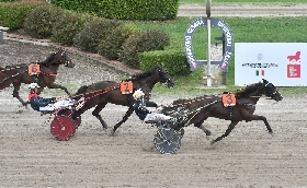 Ippica all'Ippodromo Snai Sesana il lunedì di trotto premia a sorpresa Wild Sky nella prova per i puledri supportata da Biondi e C. Snc