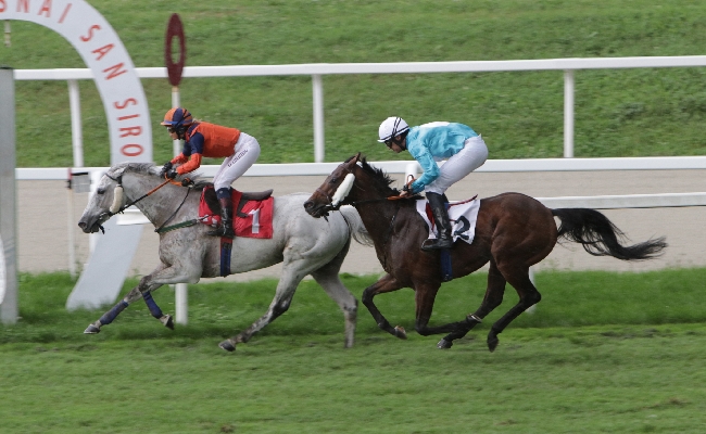 Ippica all'Ippodromo Snai San Siro la forte pioggia non impedisce a Verso le Stelle di vincere il Premio Nico e Vittorio Castellini condizionata per i cavalli di tre anni in vista del Piazzale