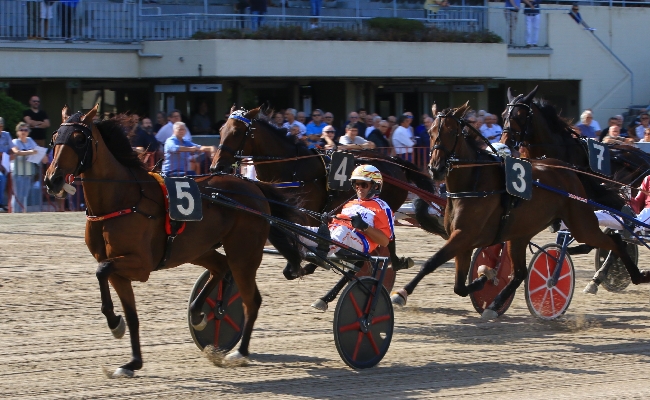 Ippica Ippodromo di Bologna: domenica 28 settembre si conclude il mese con il Premio Cromiko. Otto corse di qualità dalle 14:35