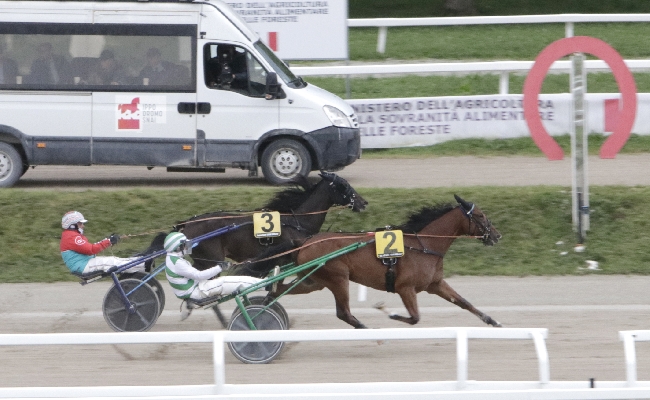 Ippica nel venerdì di trotto all'Ippodromo Snai San Siro Irenel Mail vince e fa il record della generazione dei 2 anni nel Premio Scuderia Luccio Zucchetti
