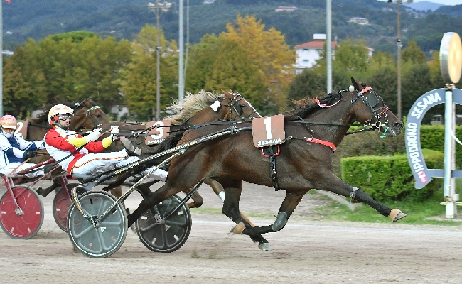Ippica all'Ippodromo Snai Sesana sabato con Iupiter Mail di un altro pianeta nel Premio Artiere Mario Schettino prova per i puledri impegnati sul miglio