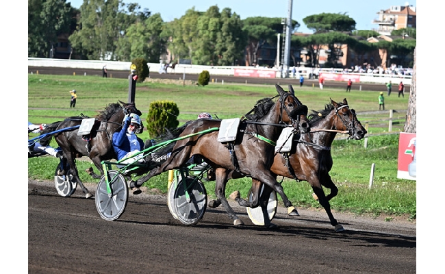 Ippica all’Ippodromo Capannelle va in scena il grande spettacolo del trotto: domenica 12 in programma il 98° Derby Italiano del Trotto Oaks del Trotto e Premio Turilli