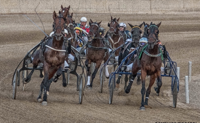 ALL’IPPODROMO DI CASTELLUCCIO DEI SAURI SI CORRE PER LA SOLIDARIETA’