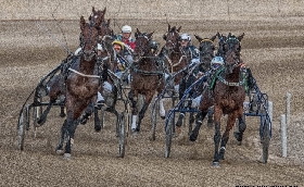 ALL’IPPODROMO DI CASTELLUCCIO DEI SAURI SI CORRE PER LA SOLIDARIETA’