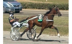Ippica Ippodromo dei Sauri: Domenico Zizzi vince il Campionato delle Stelle 2025