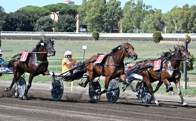 Ippica All’Ippodromo Capannelle il grande spettacolo del trotto: sabato 11 il Criterium Day domenica 12 il Derby Italiano del Trotto Oaks e Gran Premio Turilli
