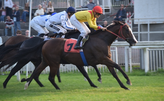 Ippica all'Ippodromo Snai San Siro Kiki Roberts vince il Monterosa con un prepotente scatto. Nel Premio Maria Sacco è Look Upon che la spunta al fotofinish