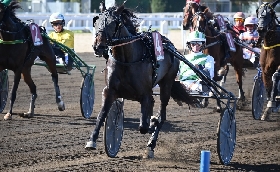 Ippica: si è svolto sabato all’Ippodromo Capannelle il Criterium Day