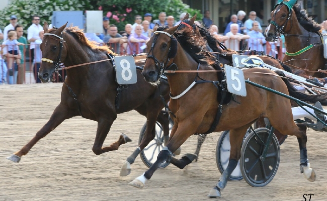 Ippica Ippodromo di Bologna: mercoledì 15 ottobre otto corse con TQQ