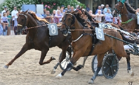 Ippica Ippodromo di Bologna: mercoledì 15 ottobre otto corse con TQQ