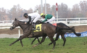 Ippica all'Ippodromo Snai San Siro super weekend di galoppo: sabato il Premio Eteocle Bassi che fa da antipasto alla domenica top con in pista il Jockey Club il Premio Dormello e il Gran Criterium