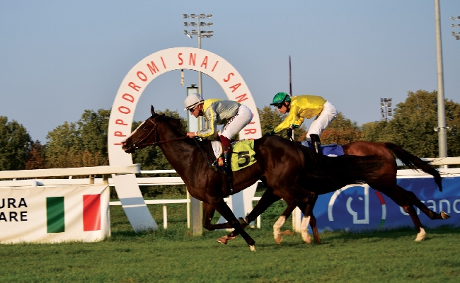 Ippica all'Ippodromo Snai San Siro il sabato di vigilia del Jockey Club premia Flag of Fear nel Premio Eteocle Bassi e la romana Cavalese nel Premio Raimondo Billeri