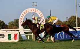 Ippica all'Ippodromo Snai San Siro il sabato di vigilia del Jockey Club premia Flag of Fear nel Premio Eteocle Bassi e la romana Cavalese nel Premio Raimondo Billeri