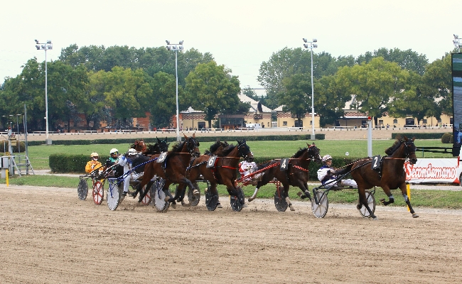 Ippica Ippodromo di Bologna: giovedì 23 ottobre otto corse dalle 14:25. Classe e velocità nel centrale