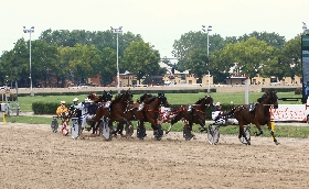 Ippica Ippodromo di Bologna: giovedì 23 ottobre otto corse dalle 14:25. Classe e velocità nel centrale