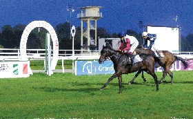 Ippica all'Ippodromo Snai San Siro il mercoledì di galoppo con le due prove per i cavalli di 2 anni sorride a Tulum e a Pokera
