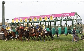 Ippica il Premio Madonnina illumina il sabato di galoppo all'Ippodromo Snai San Siro. In pista dalle ore 14:15 con sei corse e a bordo pista animazione e intrattenimento per il pubblico