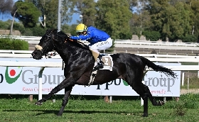 Ippica Ippodromo Capannelle  Domenica 26 ottobre giornata delle Listed Race grande attesa per il Roma Champions Day in programma il 2 novembre