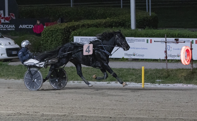 Ippica Ippodromo di Bologna: domenica 26 ottobre poker di vittorie per Vincenzo Luongo Manuele Matteini si afferma con Burraio Op nel Premio Fabio Menini