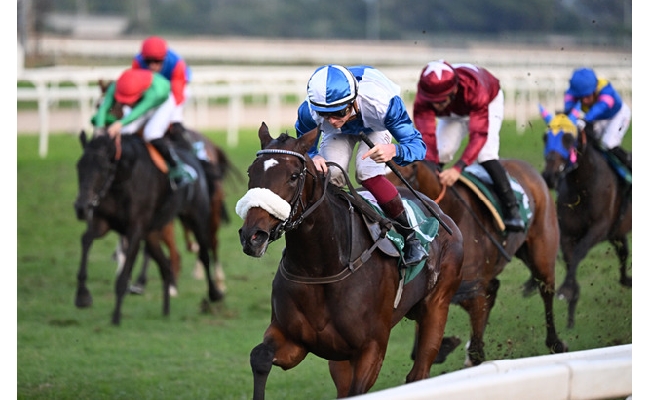 Ippica domenica 2 novembre è il Roma Champions Day: all'Ippodromo Capannelle il grande spettacolo del turf italiano