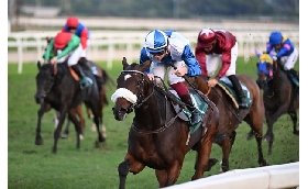 Ippica domenica 2 novembre è il Roma Champions Day: all'Ippodromo Capannelle il grande spettacolo del turf italiano