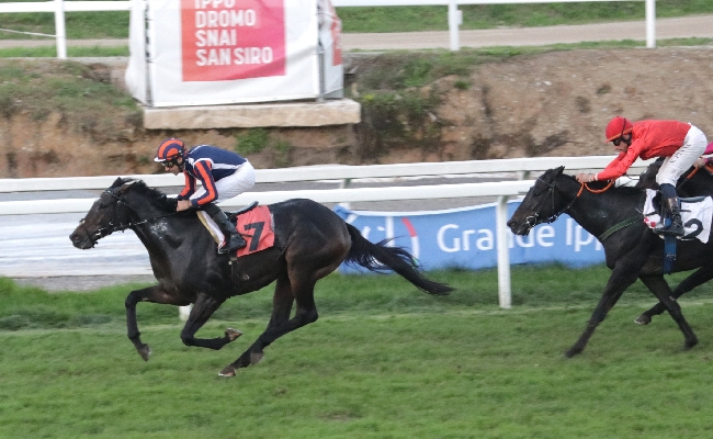 Ippica all’Ippodromo Snai San Siro domenica di galoppo con in evidenza il Premio Renzoni per la 46^ giornata stagionale. Sette corse a partire dalle ore 15