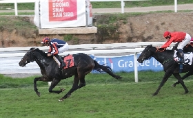 Ippica all’Ippodromo Snai San Siro domenica di galoppo con in evidenza il Premio Renzoni per la 46^ giornata stagionale. Sette corse a partire dalle ore 15