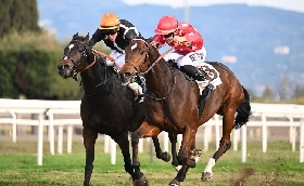 Ippica Ippodromo Capannelle: Roma Champions Day a Charlotte’s Web il Lydia Tesio. Woodchuk trionfa nel Premio Roma solo un secondo posto per Antico Moro di Max Allegri nel Premio Berardelli 