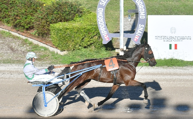 Ippica all'Ippodromo Snai Sesana ultima della stagione 2025 con in evidenza Imprevedibile Eos nella prova per i 2 anni. Nel post corse gli 'Awards Operatori Ippici Stagione 2025'