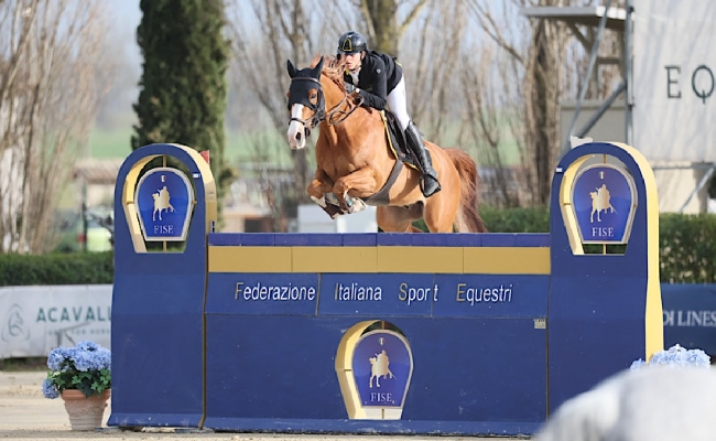 FIse Nella mente dei cavalieri e delle amazzoni del salto ostacoli