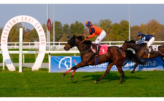 Ippica domenica ricca all’Ippodromo Snai San Siro prima con le auto d'epoca e poi con le corse di galoppo tra cui il Premio Falck vinto da Thine Be The Glory e Piccola Piuma per il Castello Sforzesco. Tre corse dedicate alla Realtà Avis