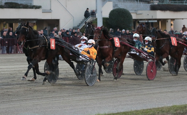 Ippica Ippodromo di Bologna: otto corse con TQQ e grandi nomi in pista giovedì 13 novembre