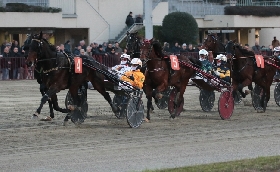 Ippica Ippodromo di Bologna: otto corse con TQQ e grandi nomi in pista giovedì 13 novembre