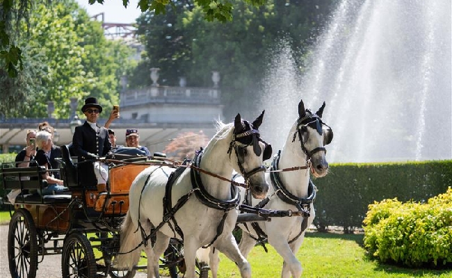 Ippica l'Ippodromo Snai San Siro celebra la settimana della cultura d'impresa con il percorso specialeScopriSanSiro