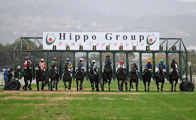 Ippica sabato 15 e domenica 16 novembre ricco weekend di corse all’Ippodromo Capannelle: in programma anche i Japan Days