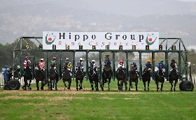 Ippica sabato 15 e domenica 16 novembre ricco weekend di corse all’Ippodromo Capannelle: in programma anche i Japan Days